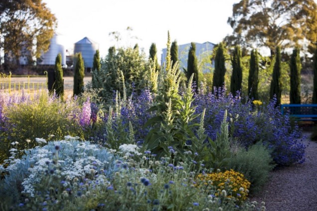 jardin résistant à la sécheresse