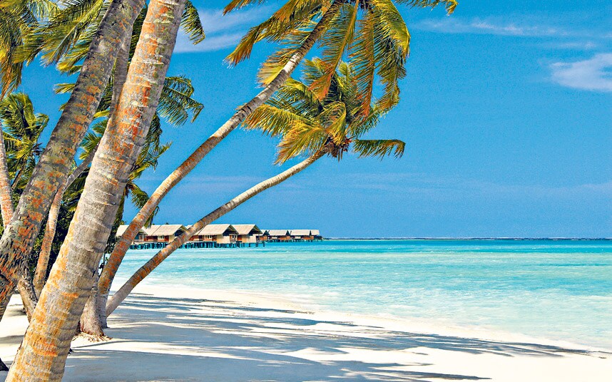 plage paradisiaque aux Maldives