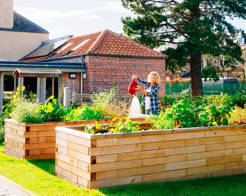 potager bacs légumes