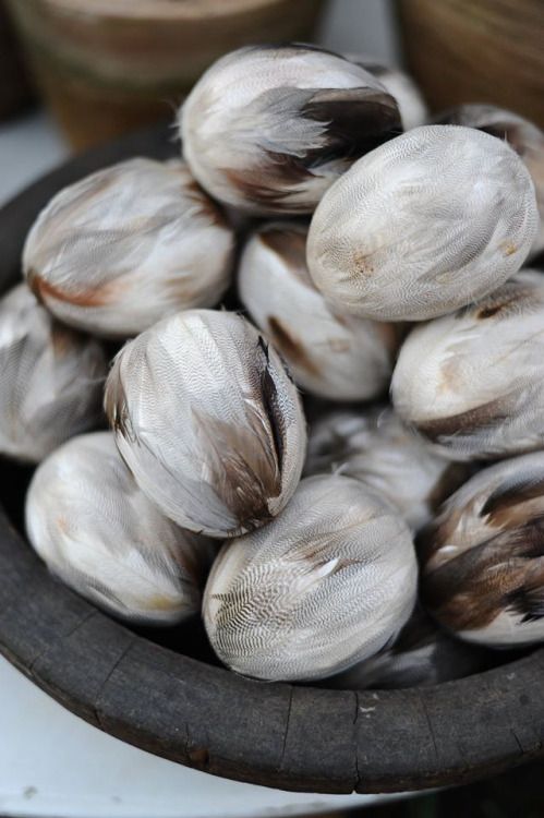 oeuf pâques avec des plumes