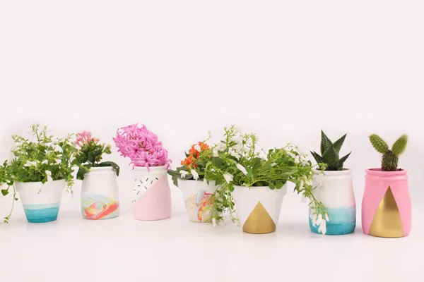 petits pots de fleurs cuisine