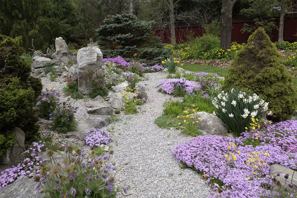 Décoration de sentier rocailleux dans un jardin naturel