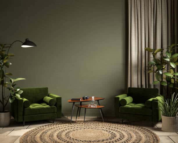 fauteuil vert olive et tapis rond