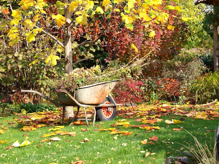 nettoyer-jardin-septembre