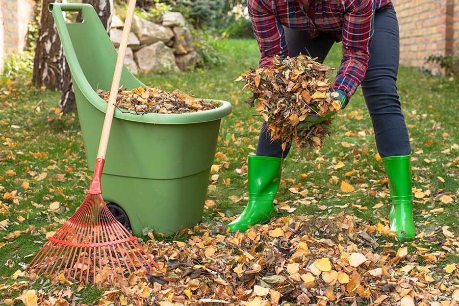 ramasser-feuilles-jardin