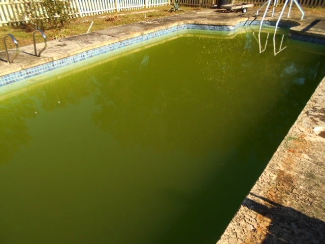 traitement-eau-verte-piscine